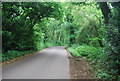 Alderbrook Rd crossing Smithwood Common