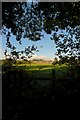 Bethany School north from Worms Hill Wood