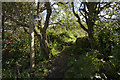 Footpath to Caer Bran