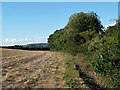 Footpath to West Ashling