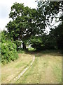 Path to Epsom Downs