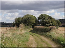 SK5091 : View along Back Lane by Andrew Hill