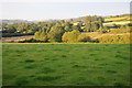 Farmland near Rhyd-blawd