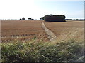 TM4093 : Footpath through farmland by Helen Steed