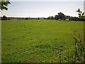 Pasture, Seighford