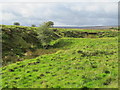 Disused quarry  at Keenley