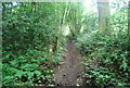 Footpath, Alderbrook Copse