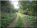 Grange Lane, near Coston