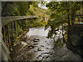 Torrs Millennium Walkway, River Goyt and Weir