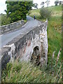 Bridge over the Powmillon Burn