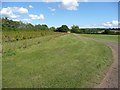 Footpath, Graveley