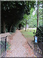 Path leading to St Peter & St Paul