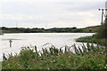 Brickyard Pond, Broomfleet