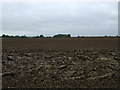 TF1903 : Farmland west of Newborough Road by JThomas