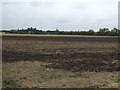 TF2203 : Farmland near Eye Green by JThomas