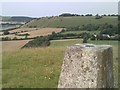 Martinsell Hill trig point