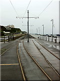 SC3977 : The lines of the Manx Electric Railway by Andrew Abbott