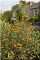 Further detail of the raised flowerbed