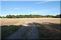 Farm Track off Kenardington Road, Appledore Heath