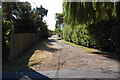 Footpath at Appledore Heath