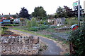 Path through the allotments