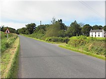 H4861 : Derrybard Road, Raneese by Kenneth  Allen