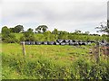 Silage bales, Raneese