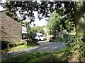 Houses on Peth Bank