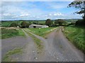 Ger Ffarm y Lan Fach / Near Lan Fach Farm