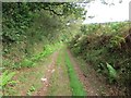 SN3412 : Ffordd Las Llanybri green road by Alan Richards
