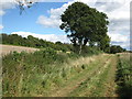 Track to Fillingdon Farm