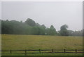 Farmland by the M6