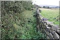 Footpath from Intake Gate towards Old Wood Farm