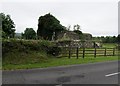 Ruined church at Templerushin viewed across the Garrison Road