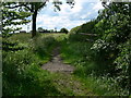 Public path to Glebe Farm