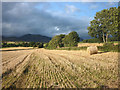 Harvested barley field, Milton of Edradour