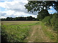 Chiltern farmland