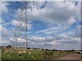 Pylon and power line