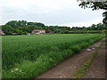 Looking west from near Turkey Farm