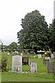 SJ4185 : Horse Chestnut amongst the graves, Allerton Cemetery by El Pollock