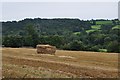 East Devon : Grassy Field & Hay-bales