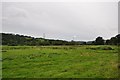 East Devon : Grassy Field