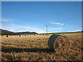 Barley straw bales at Kinnaird