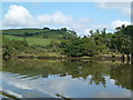 SX8258 : River Dart - shipwreck by Chris Allen