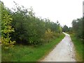 Autumnal Colours by the Five Pits Trail