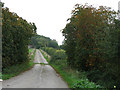 Lane to Roundhill Farm