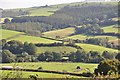 Mid Devon : Exe Valley Scenery