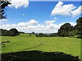 Looking west from Fellside Road