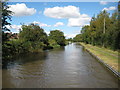 Coventry Canal: Reach north-east of Bedworth