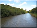 Coventry Canal: Bedworth Hill Cutting